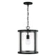 Brennen 1-Light Pendant