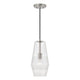 Dena 1-Light Pendant