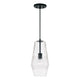 Dena 1-Light Pendant