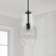 Dena 1-Light Pendant