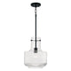 Nyla 1-Light Pendant