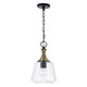 Amara 1-Light Pendant