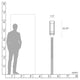 Torch Outdoor Post Light