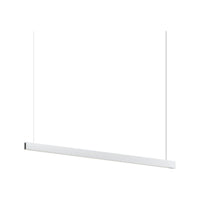 Lithe 6' 2-Sided Pendant