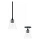 Baker 1-Light Convertible Pendant