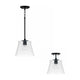 Baker 1-Light Convertible Pendant