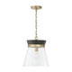 Finn 1-Light Pendant