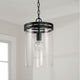 Fuller 1-Light Pendant