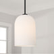 Lawson 1-Light Pendant
