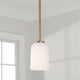 Lawson 1-Light Pendant