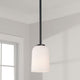 Lawson 1-Light Pendant