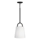 Brody 1-Light Pendant