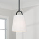Brody 1-Light Pendant