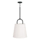 Brody 1-Light Pendant