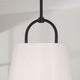 Brody 1-Light Pendant