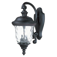 Carriage House DC 2-Light Outdoor Wall Lantern