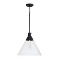 Paloma 1-Light Pendant