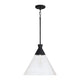 Paloma 1-Light Pendant
