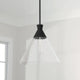 Paloma 1-Light Pendant
