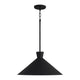 Paloma 1-Light Pendant