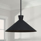 Paloma 1-Light Pendant