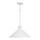 Paloma 1-Light Pendant