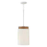 Liam 1-Light Pendant