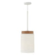 Liam 1-Light Pendant