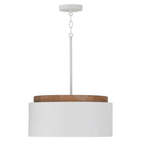 Liam 1-Light Pendant