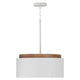 Liam 1-Light Pendant