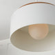 Liam 1-Light Pendant