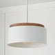 Liam 1-Light Pendant