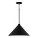 Alden 1-Light Pendant