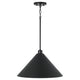 Alden 1-Light Pendant