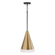 Avant 1-Light Pendant