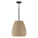 Della 1-Light 14.25" Pendant