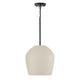 Della 1-Light 13" Pendant