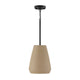 Della 1-Light 10" Pendant