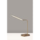 Reader LED Desk Lamp