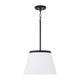 Drake 1-Light Pendant
