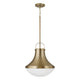 Arlo 1-Light Pendant