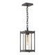 Cela Medium Outdoor Lantern