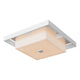Shadow Box Large Outdoor Flush Mount