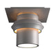 Twilight Small Dark Sky Outdoor Semi-Flush