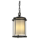 Meridian Outdoor Ceiling Fixture