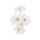 367-01-GL