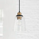 Fallon 1-Light Pendant
