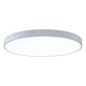 Pi 30" Round LED Surface Mount