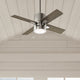 Beck Fan with LED Light 42"