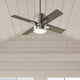 Beck Fan with LED Light 42"
